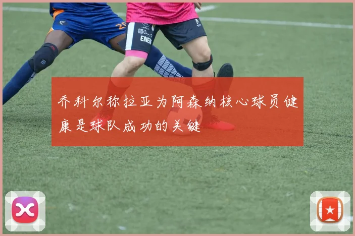 乔科尔称拉亚为阿森纳核心球员健康是球队成功的关键